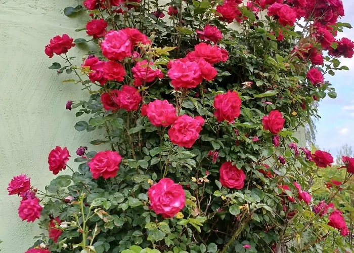 Ferienwohnung-nina-in-hohen-viecheln アパート Hohen Viecheln